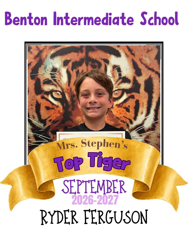 Top Tiger Graphic 