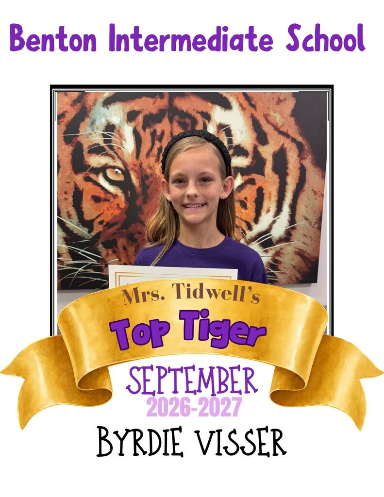 Top Tiger Graphic 