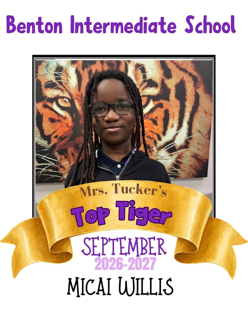 Top Tiger Graphic 