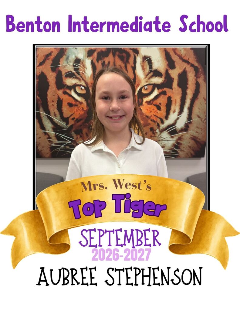 Top Tiger Graphic 