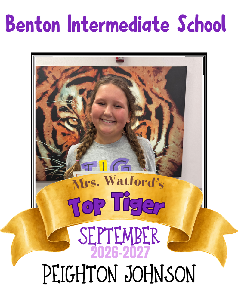Top Tiger Graphic 