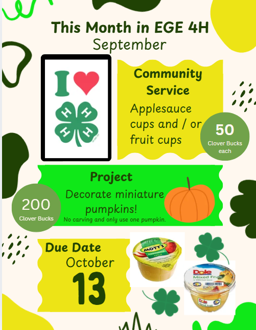 4-H Update