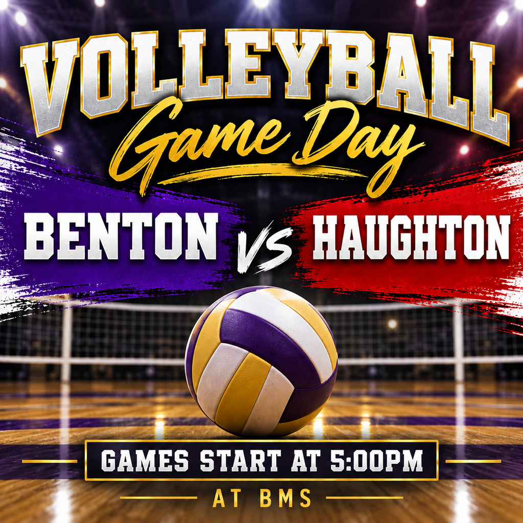 volleyball game