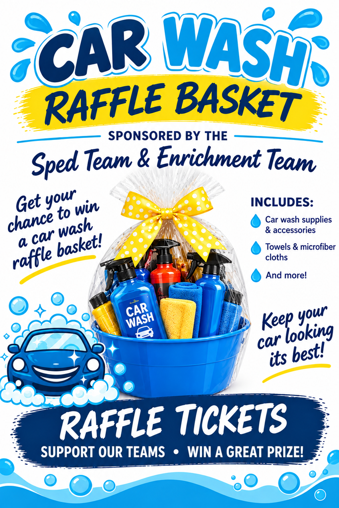 Car wash basket