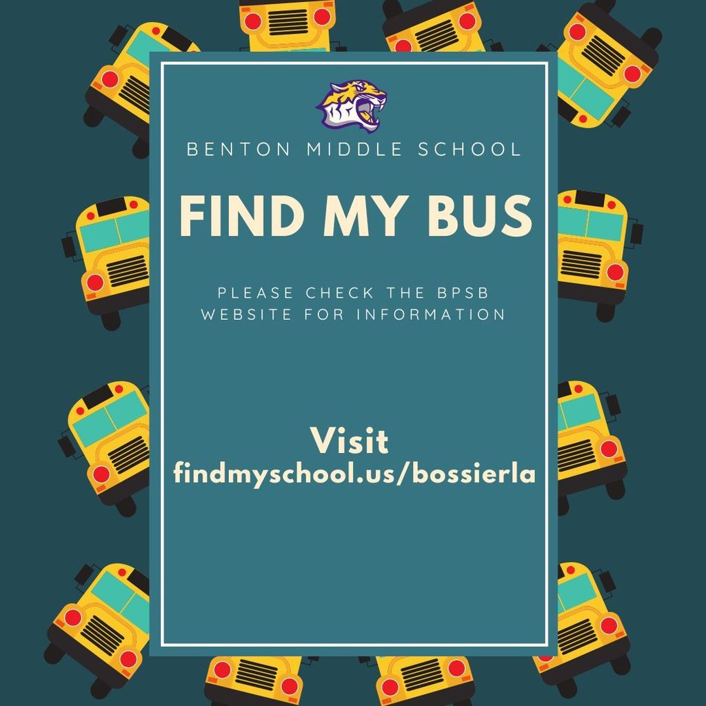 Find my bus