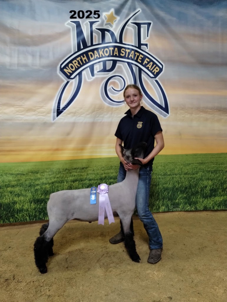 Reserve Champion