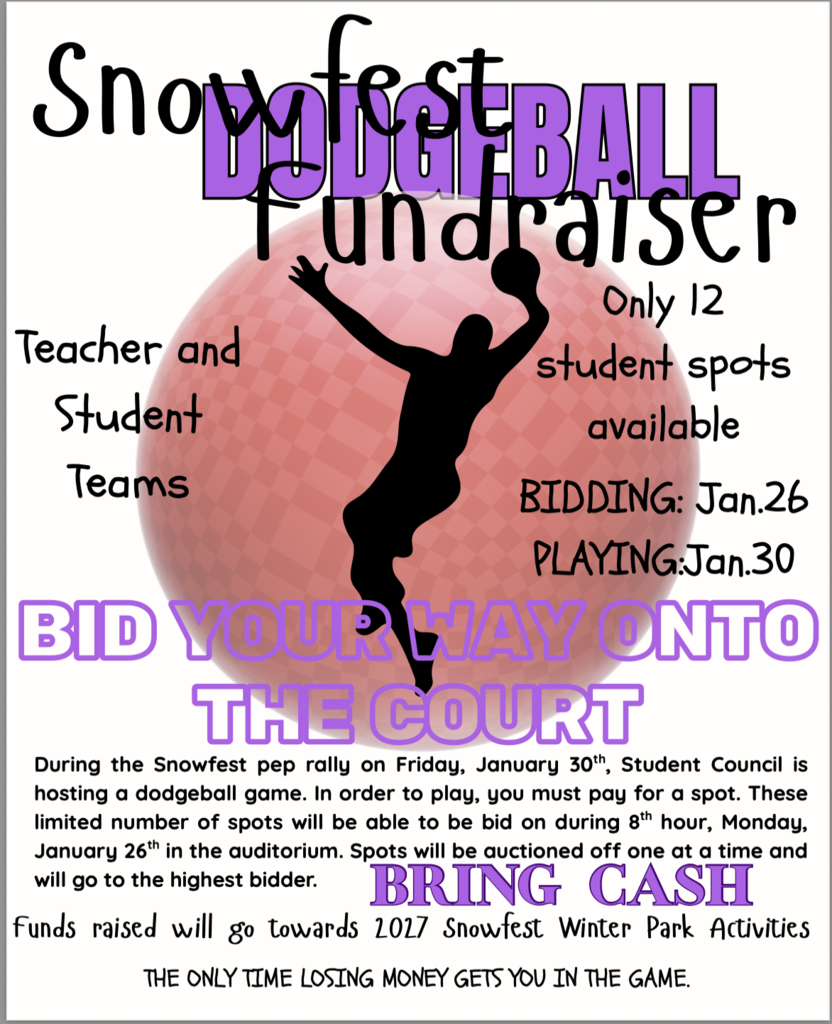 Snowfest Dodgeball Fundraiser