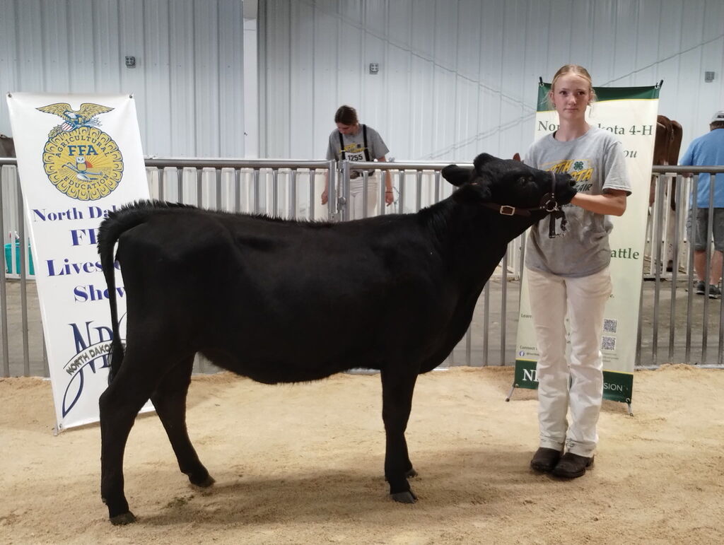 Marie Sand was Reserve Champion in overall crossbred heifers at the fair