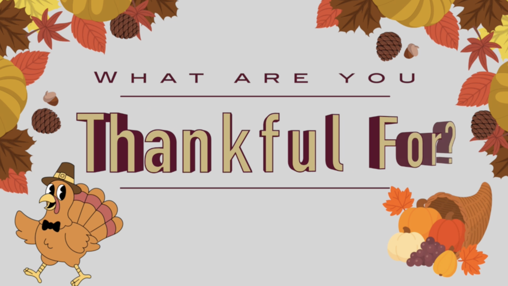 What are you thankful for?
