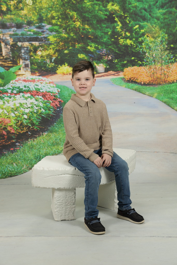 spring picture background