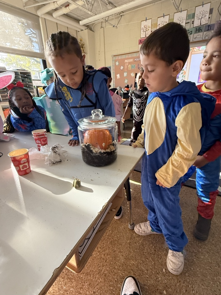 3 students looking at their pumpkin in the jar
