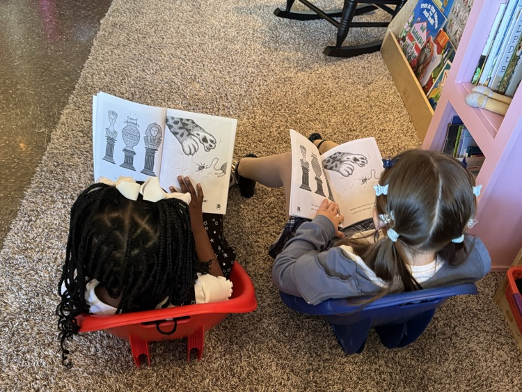 2 students in rocker chairs reading