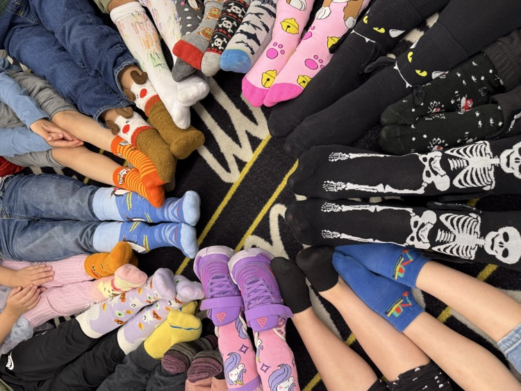 circle of crazy socks