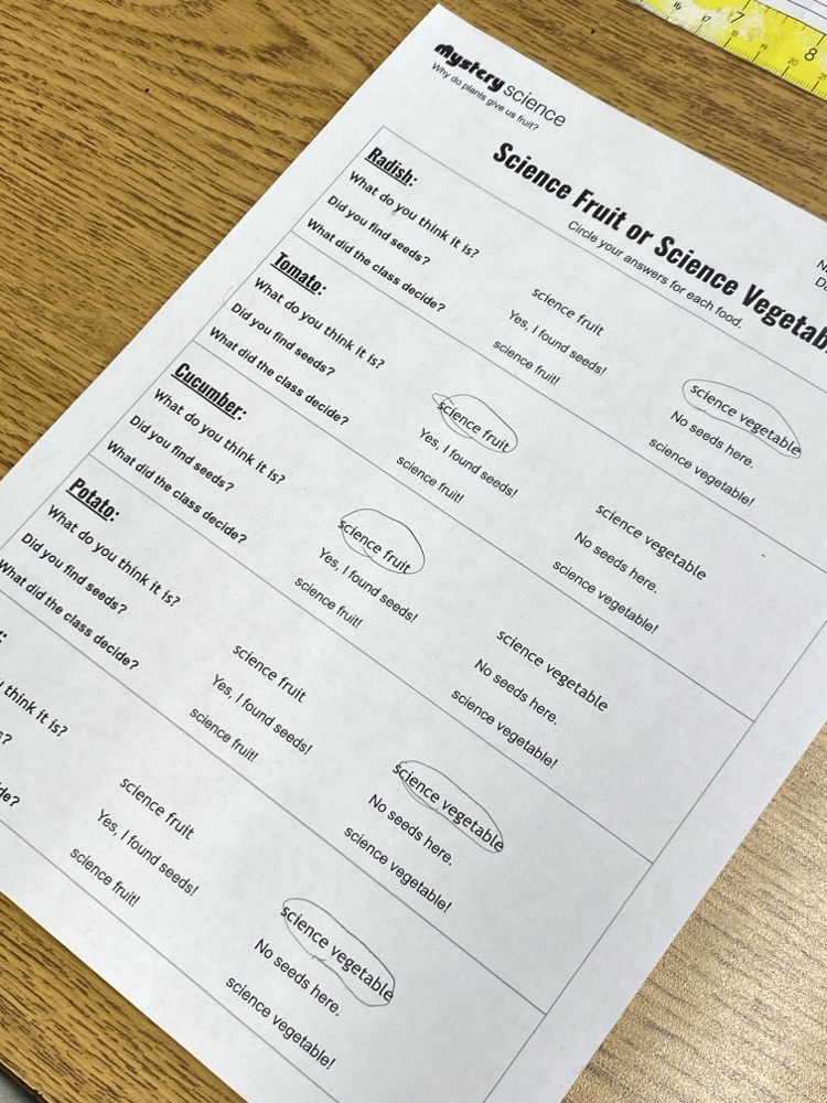 mystery science worksheet
