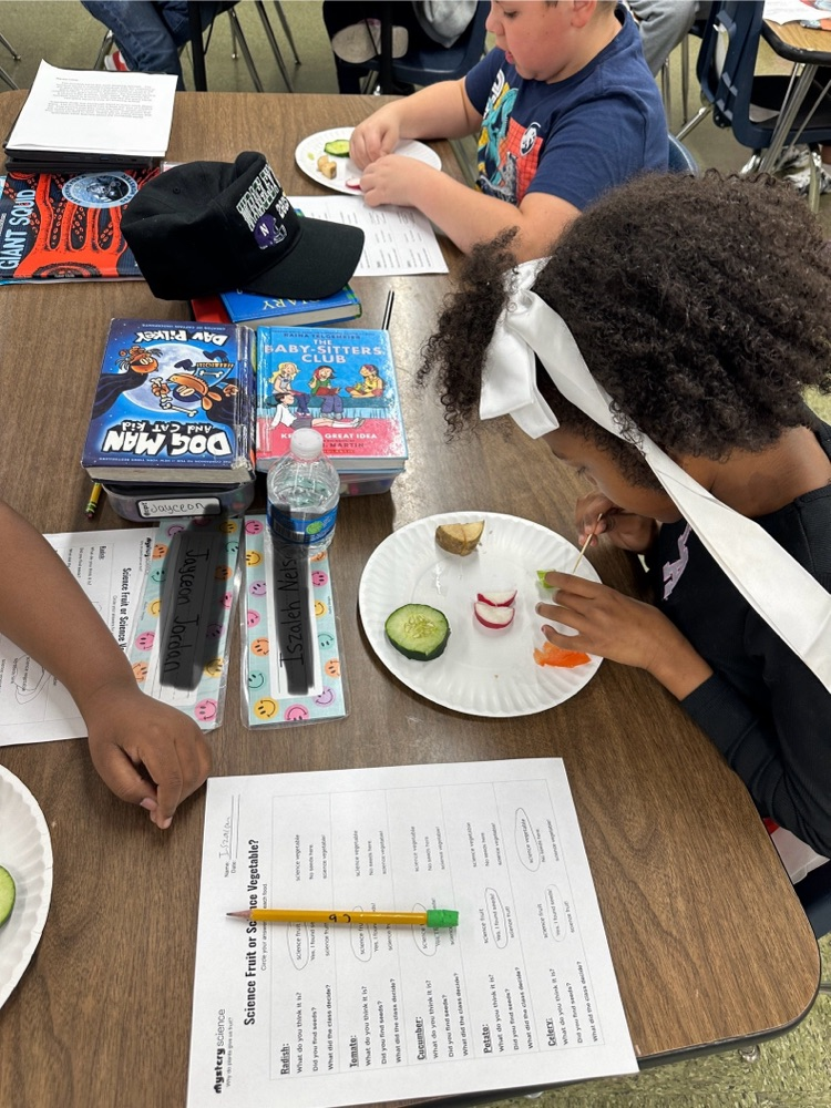 students searching for seeds