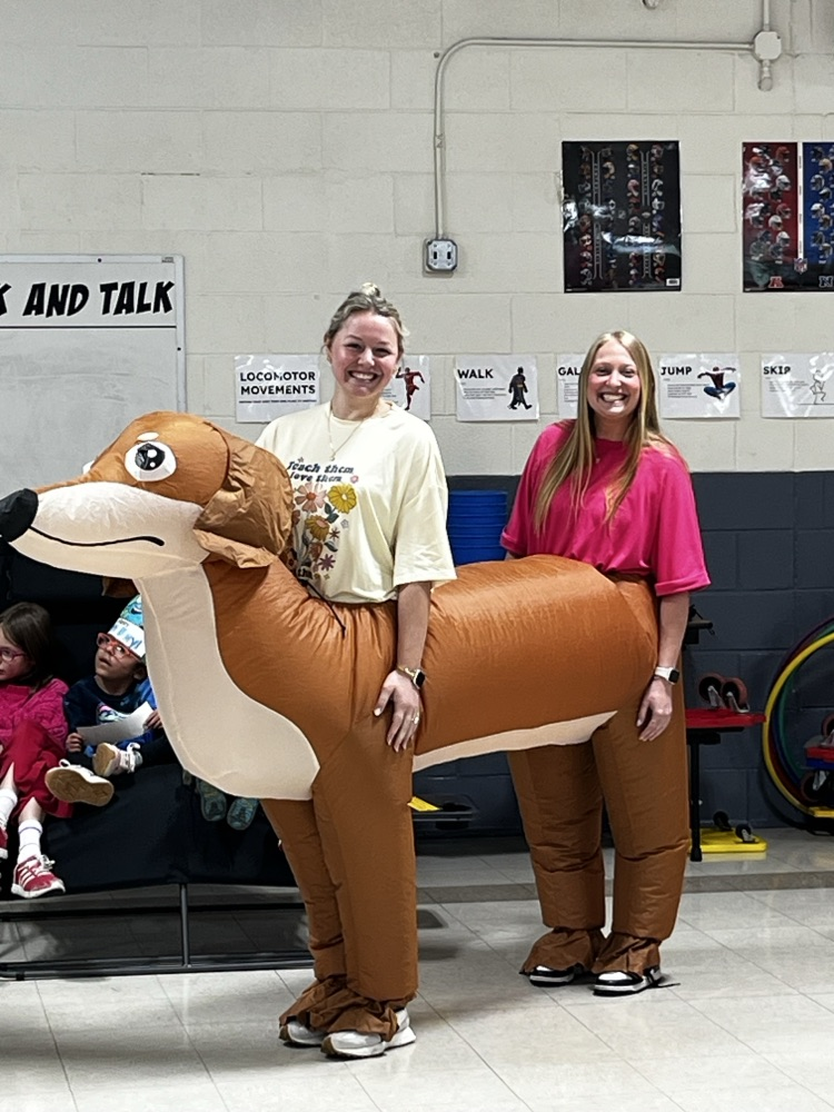 1st grade dachshund costume 