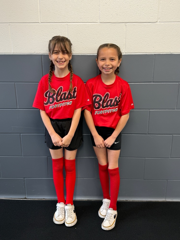 softball twins