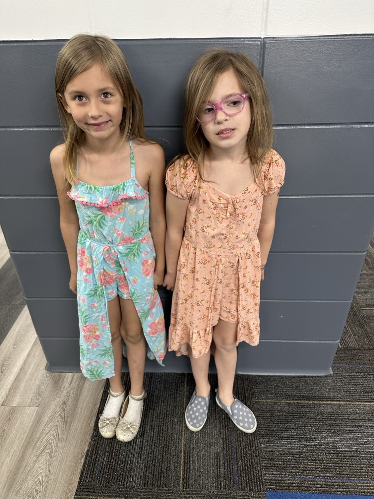 dress twins