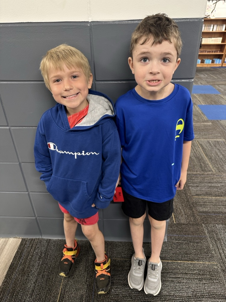 blue champion twins