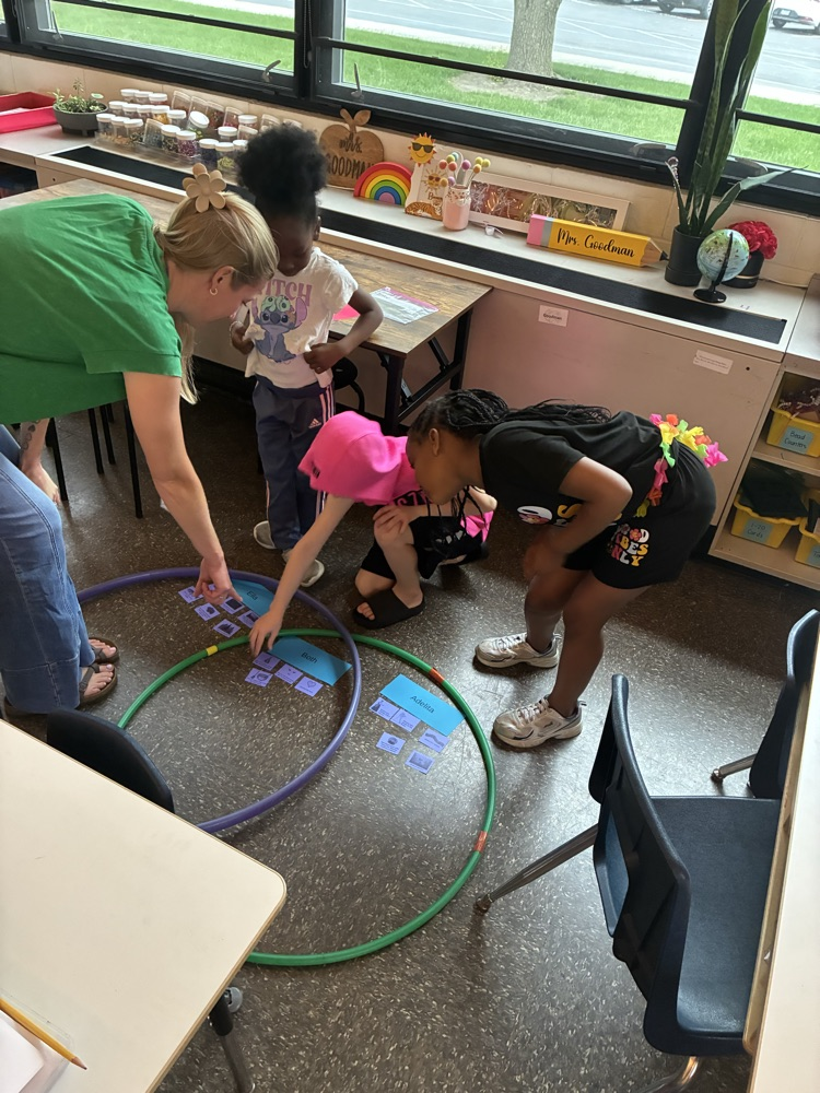 students doing Venn diagrams 