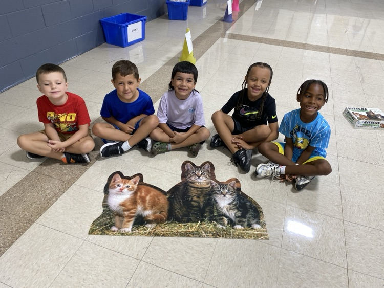 1st graders built a cat puzzle