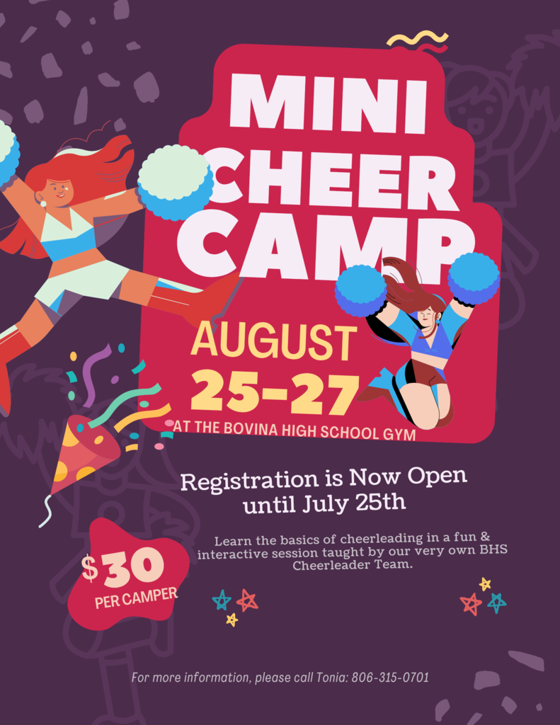 Mini Cheer Camp flyer