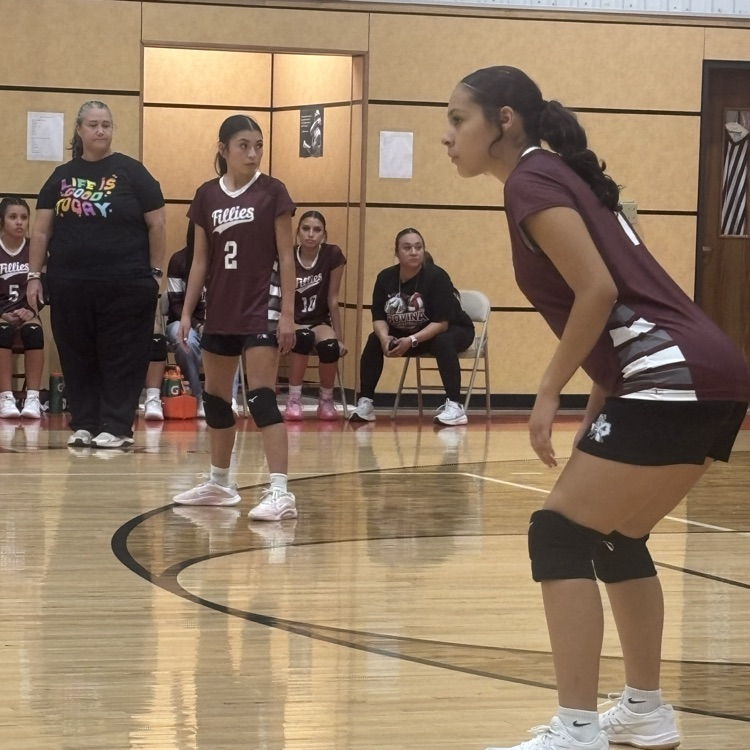 vb10