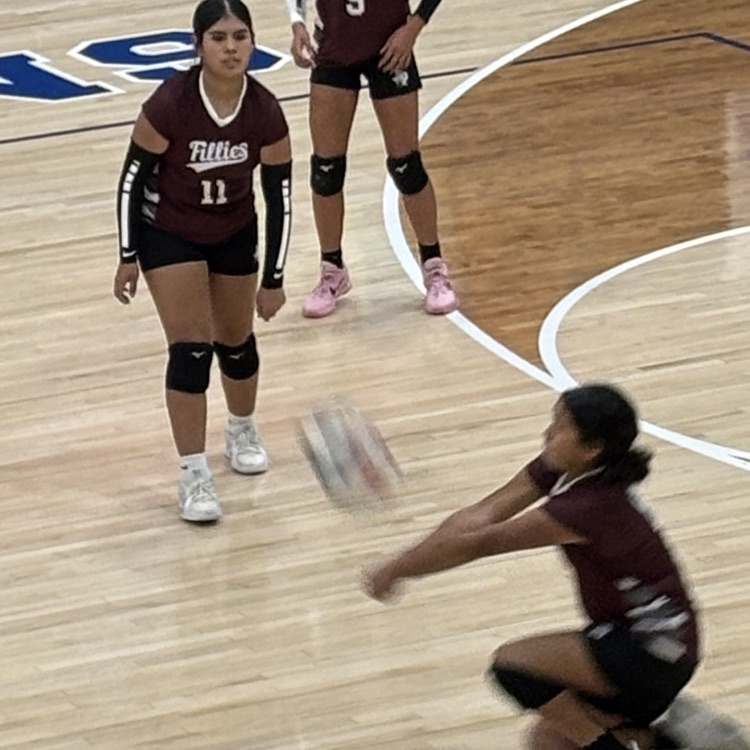 VB1