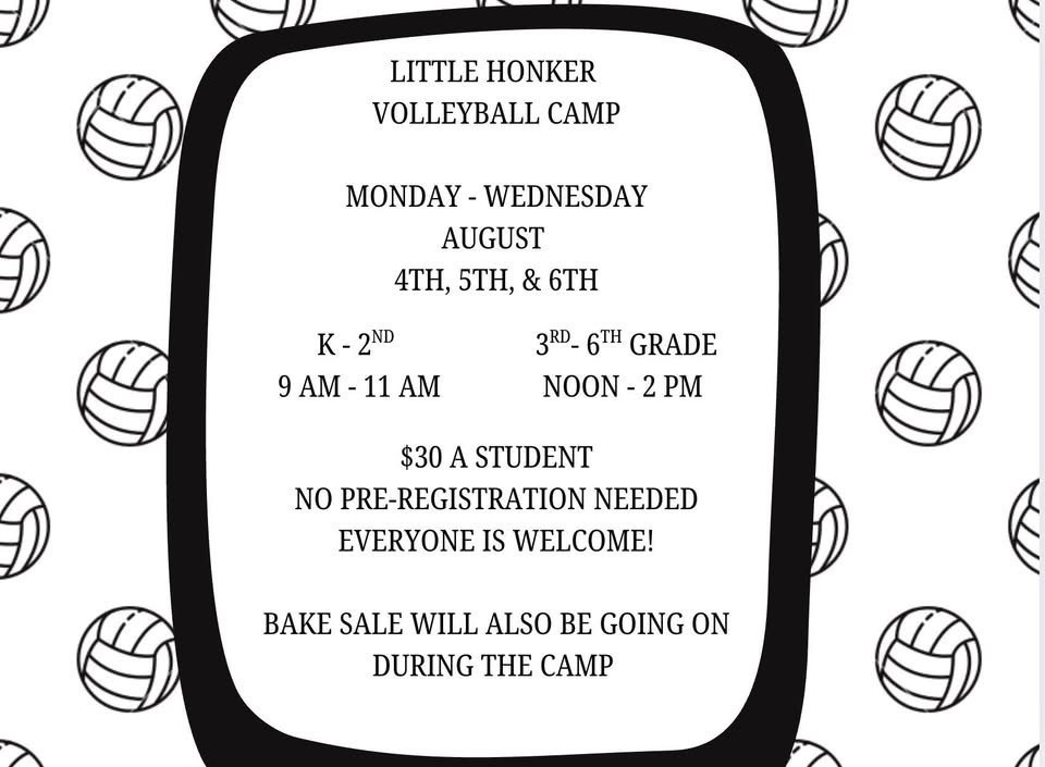 vb camp flyer
