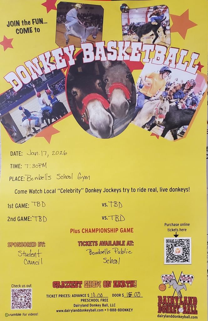 donkey basketball 