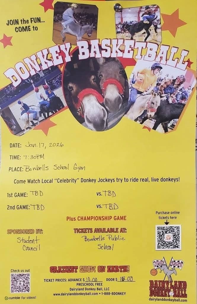 donkey basketball 