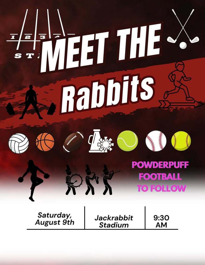 meet the rabbits