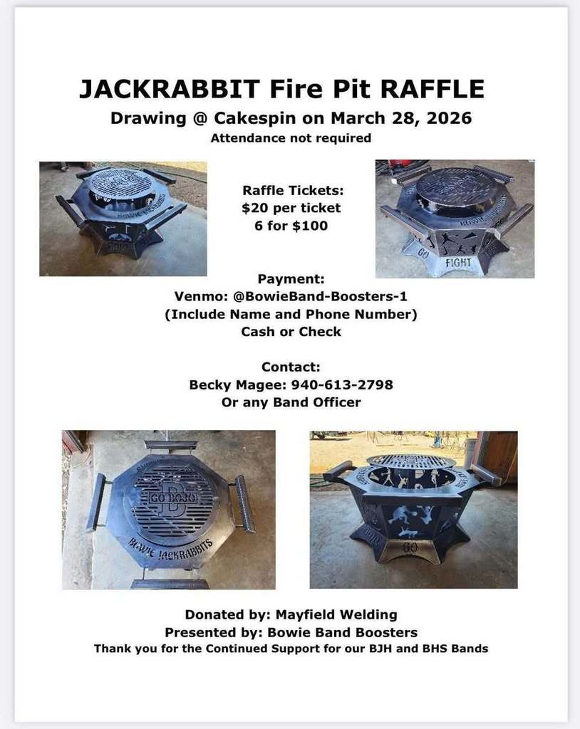 fire pit auction