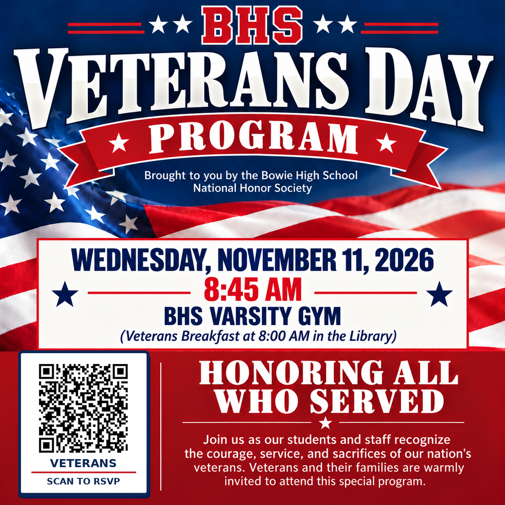 Veterans Day Graphic