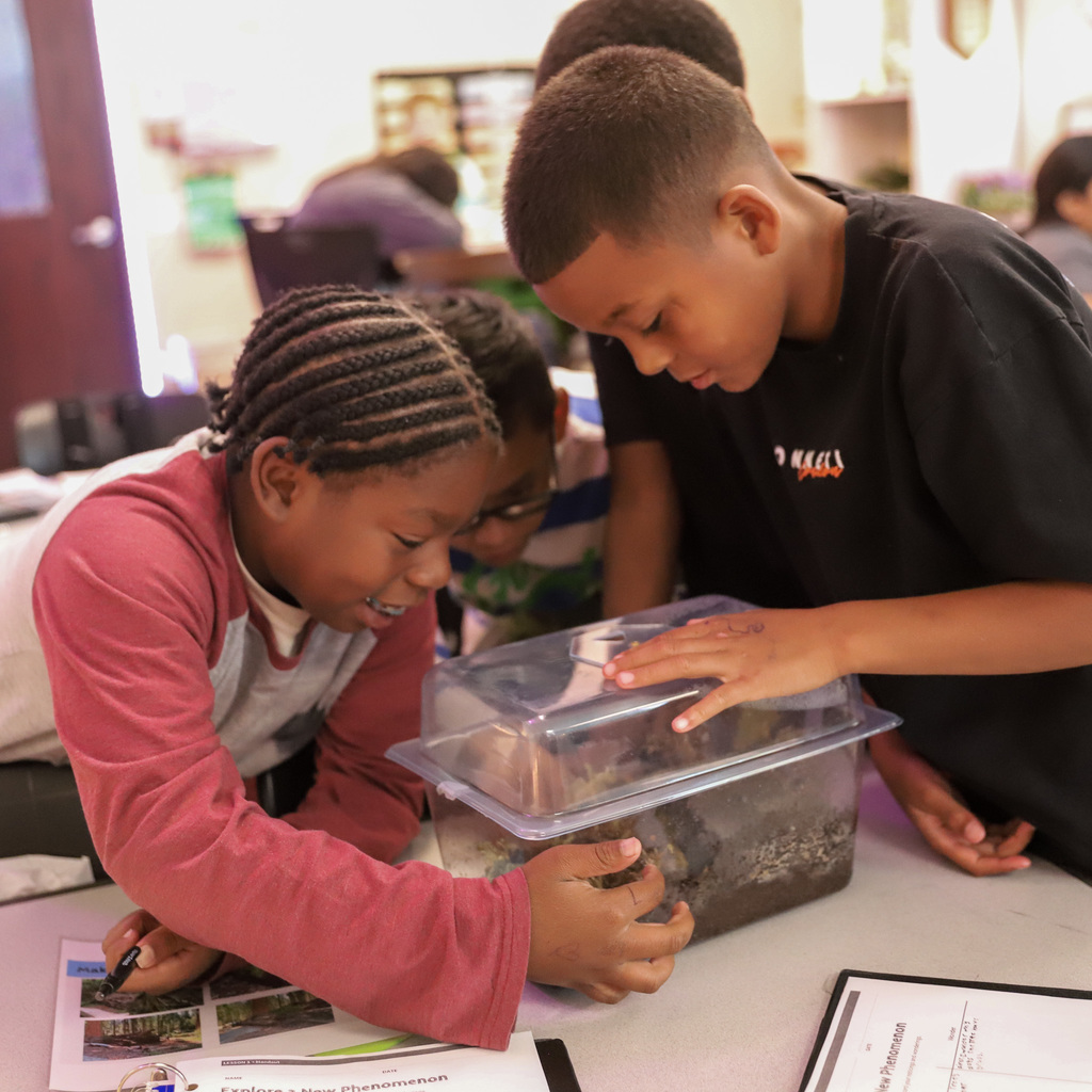 Students looking at terrarium