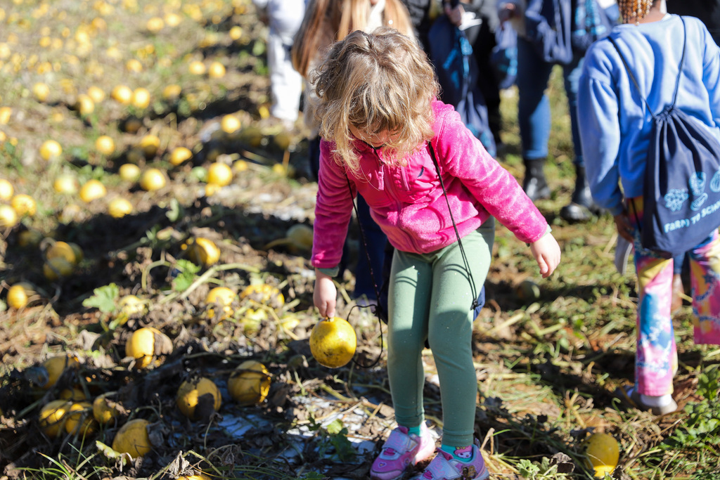 Student harvesting a Winter Squash
