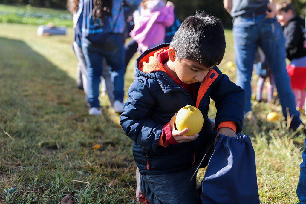 Student adds Winter Squash to bag