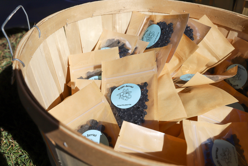 Bluey Berries- dried blueberries for a snack