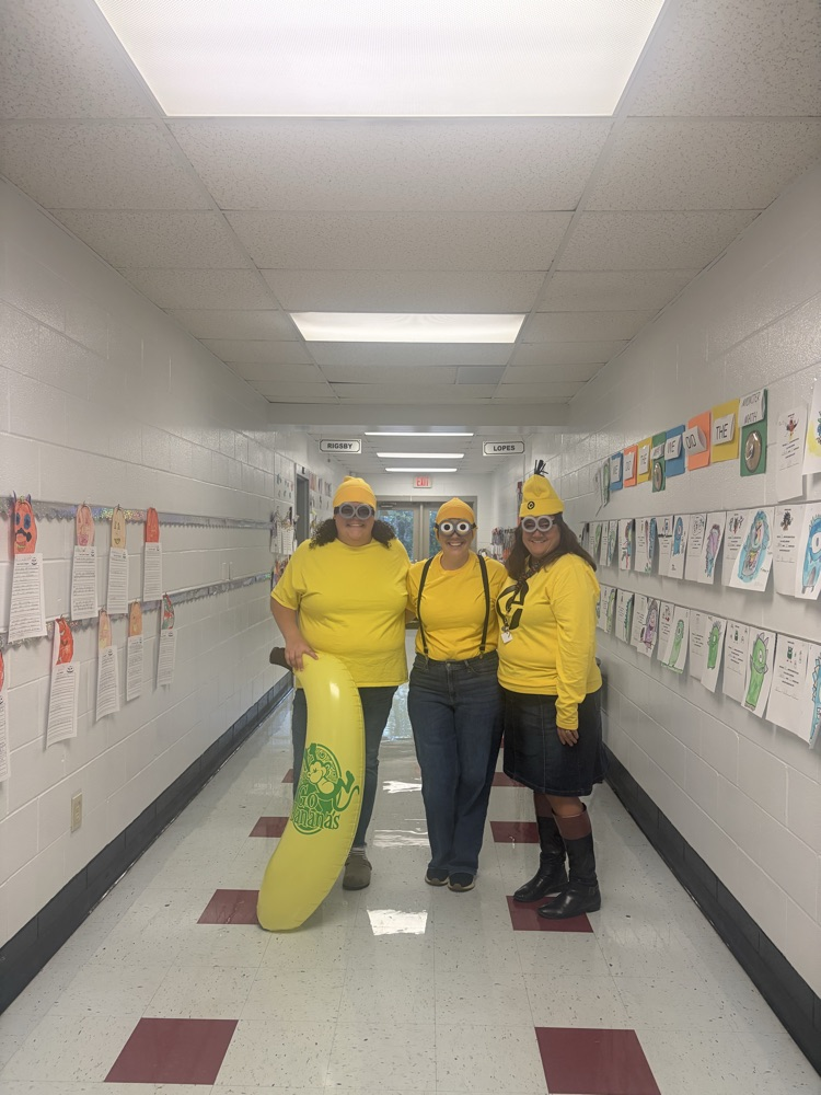 2nd Grade Minions