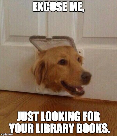 dog looking for library books