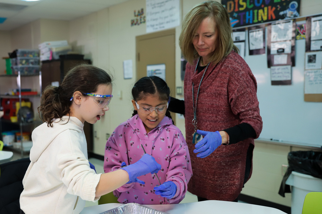 Students look at cow eyes