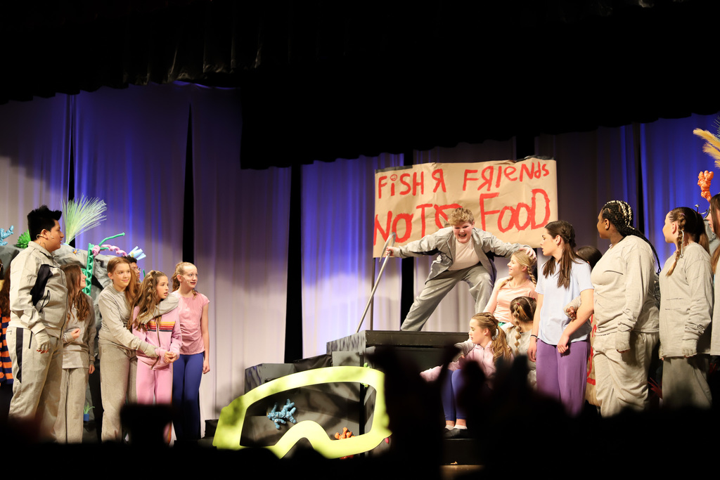 Finding Nemo Jr. Sharks