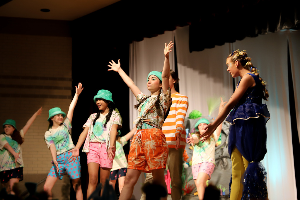 Finding Nemo Jr the turtles