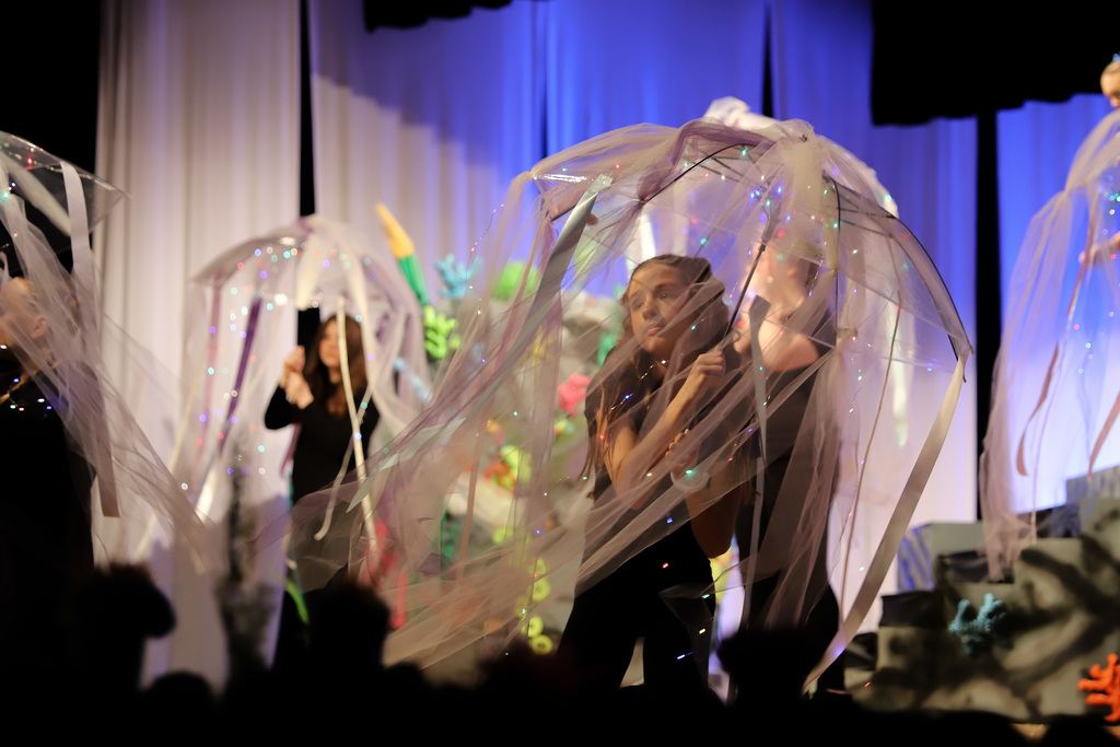 Fiinding Nemo Jr jellyfish