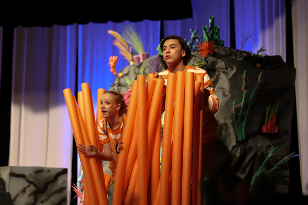 Finding Nemo Jr. Characters in coral