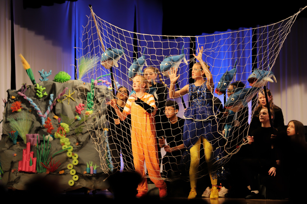 Finding Nemo Jr in the net