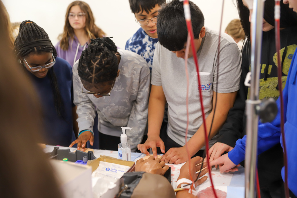 My Options Expo: Phlebotomy lab, finding veins