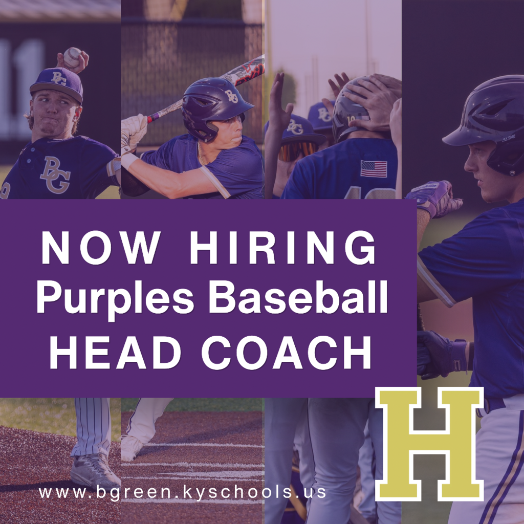 Baseball Hire