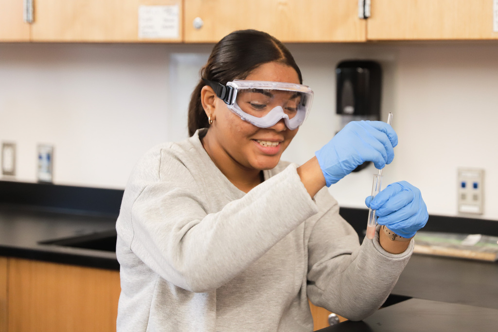 Biology I Lab: Chemical reactions