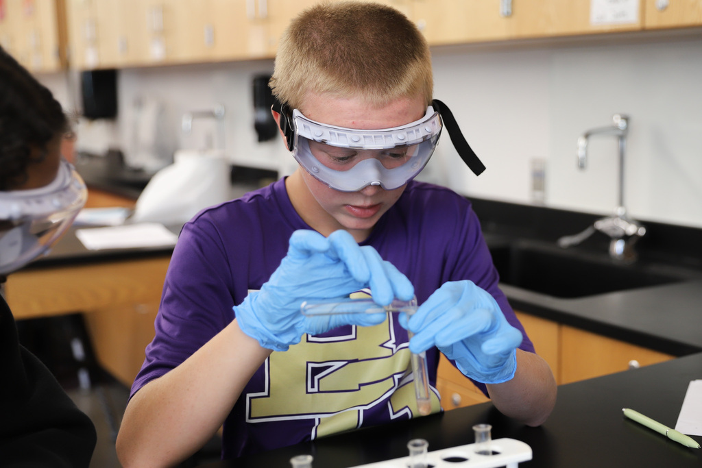 Biology I Lab: Chemical reactions